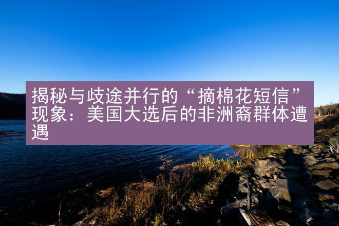 揭秘与歧途并行的“摘棉花短信”现象：美国大选后的非洲裔群体遭遇