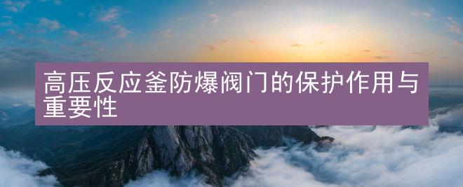 高压反应釜防爆阀门的保护作用与重要性