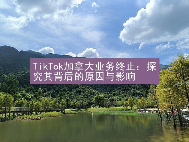 TikTok加拿大业务终止：探究其背后的原因与影响