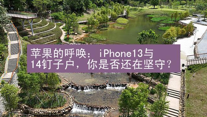 苹果的呼唤：iPhone13与14钉子户，你是否还在坚守？