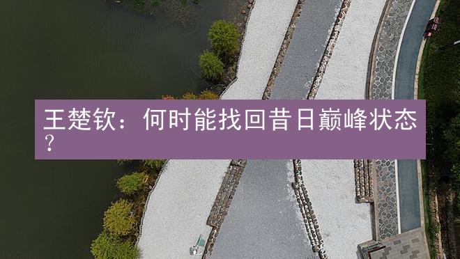 王楚钦：何时能找回昔日巅峰状态？