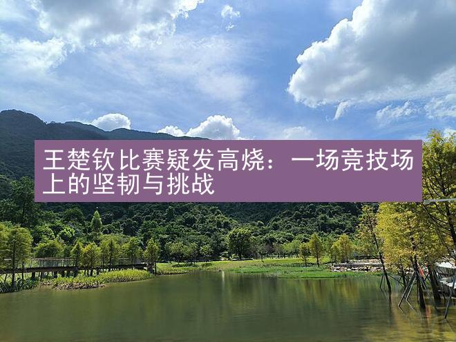 王楚钦比赛疑发高烧：一场竞技场上的坚韧与挑战