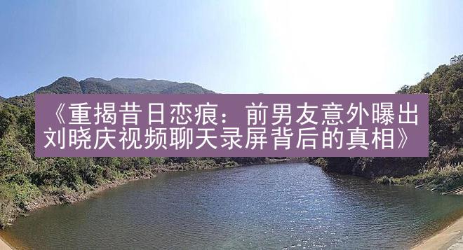 《重揭昔日恋痕：前男友意外曝出刘晓庆视频聊天录屏背后的真相》