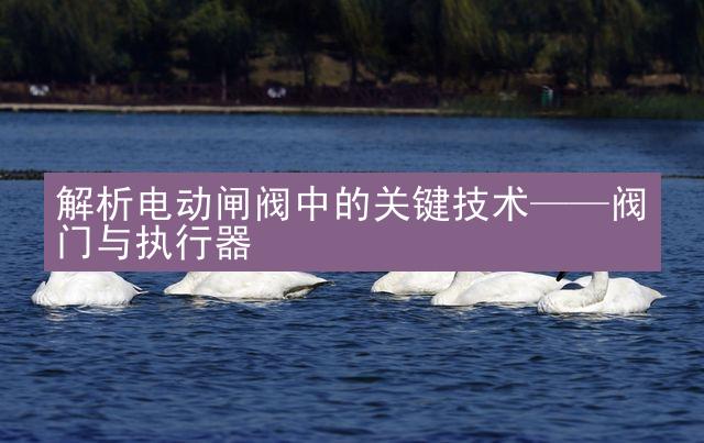 解析电动闸阀中的关键技术——阀门与执行器