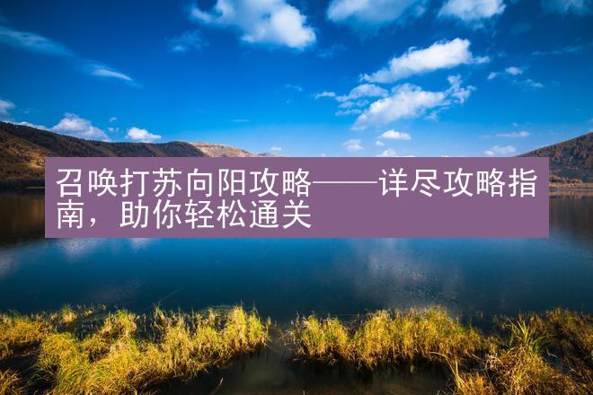 召唤打苏向阳攻略——详尽攻略指南，助你轻松通关