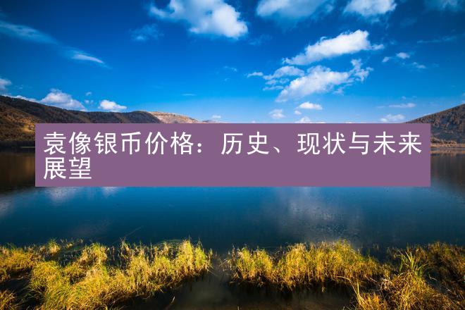 袁像银币价格：历史、现状与未来展望