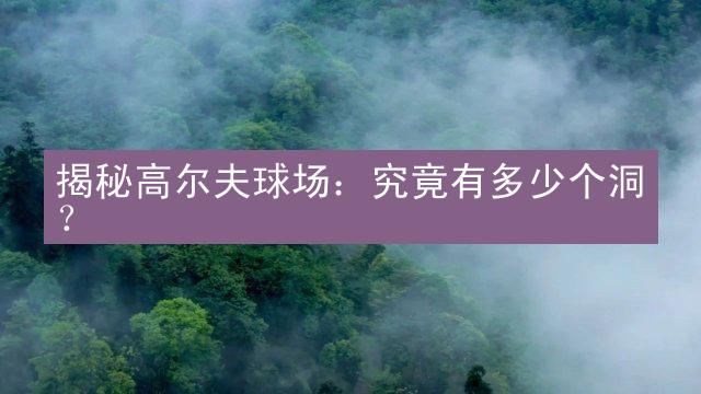 揭秘高尔夫球场：究竟有多少个洞？