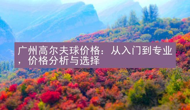 广州高尔夫球价格：从入门到专业，价格分析与选择