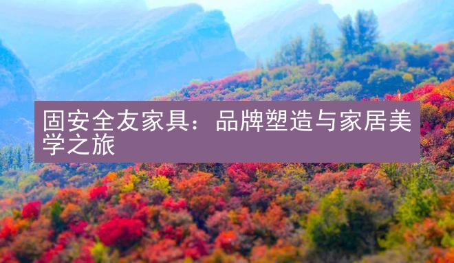 固安全友家具：品牌塑造与家居美学之旅