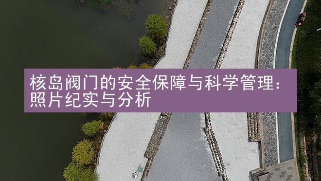 核岛阀门的安全保障与科学管理：照片纪实与分析