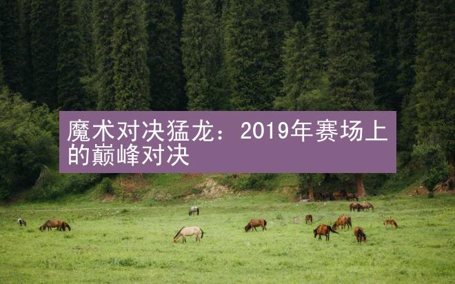 魔术对决猛龙：2019年赛场上的巅峰对决