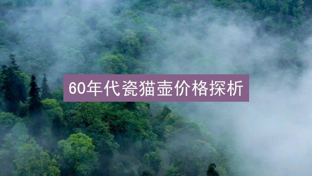 60年代瓷猫壶价格探析