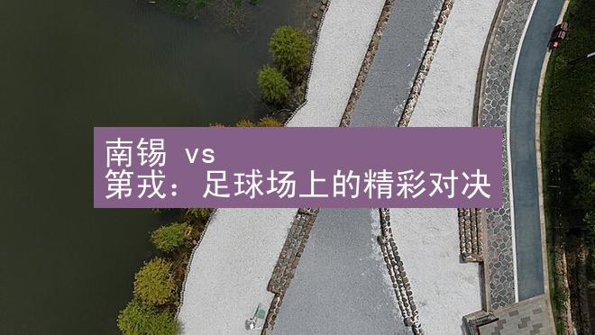 南锡 vs 第戎：足球场上的精彩对决