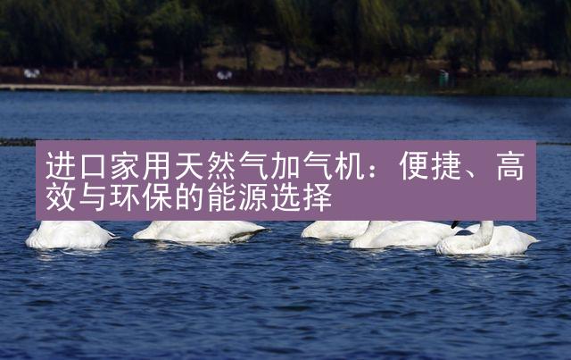 进口家用天然气加气机：便捷、高效与环保的能源选择