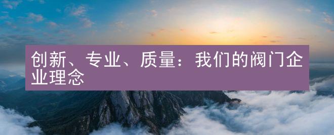 创新、专业、质量：我们的阀门企业理念