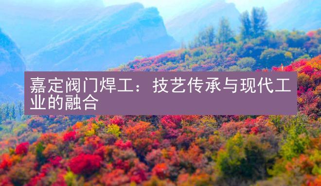 嘉定阀门焊工：技艺传承与现代工业的融合