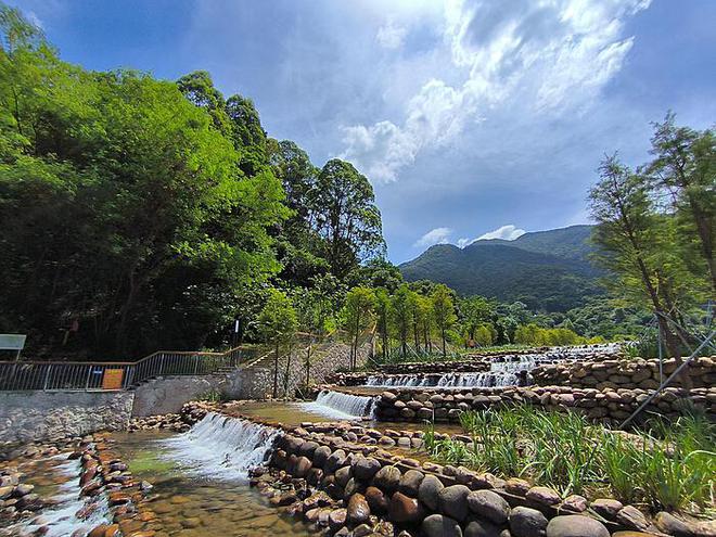 孕8周未见胎儿踪影：一场焦虑与等待的旅程